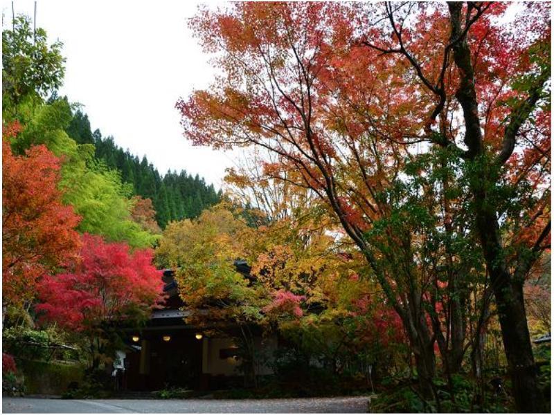 Ryokan Okunoyu Minamioguni Dış mekan fotoğraf